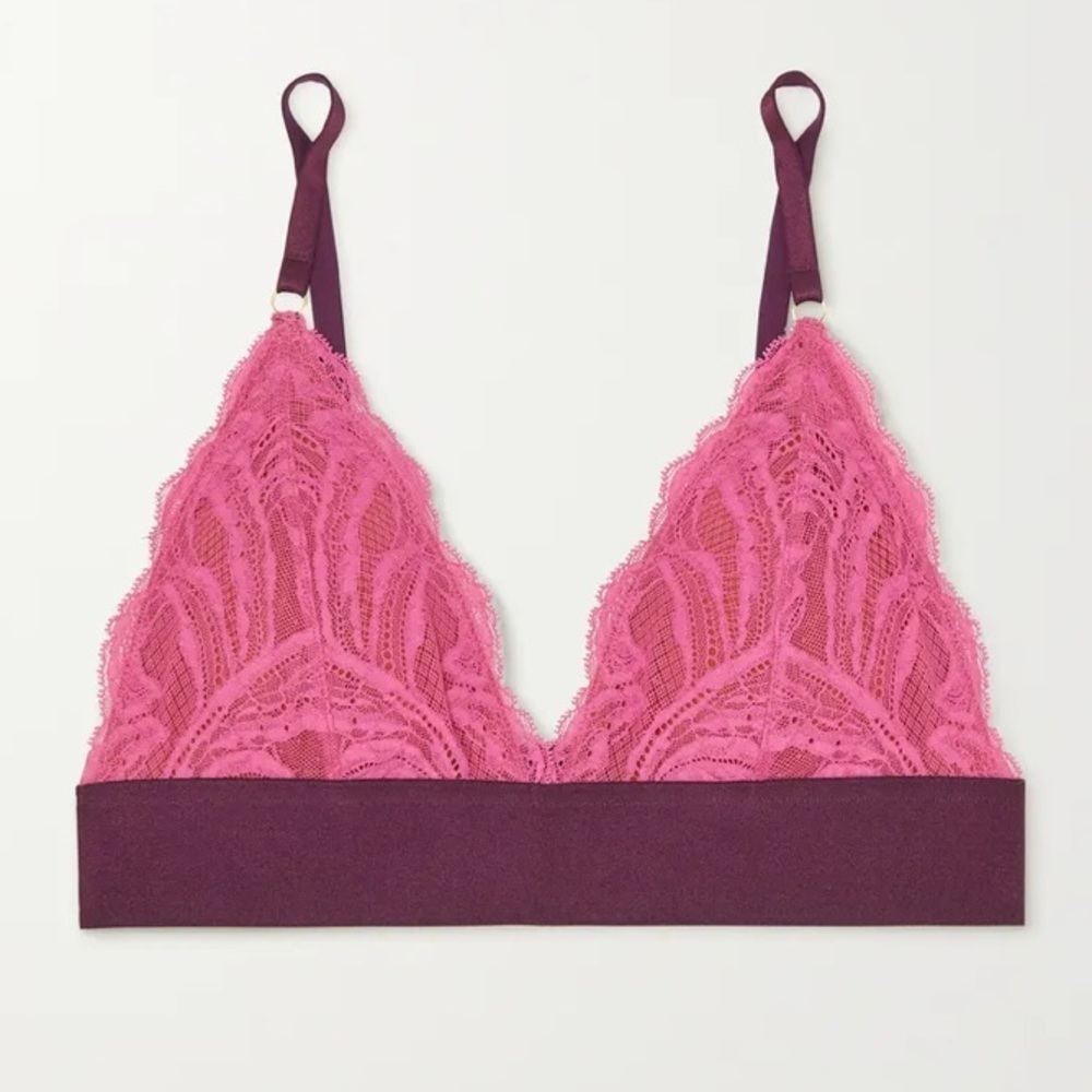 Dora Larsen Alba Lace Triangle bra new wtags size 12